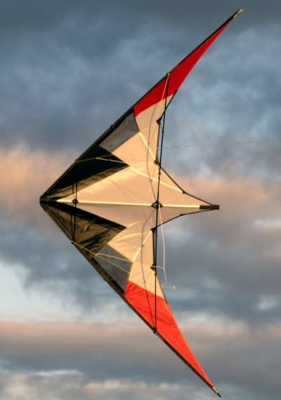 2-line stunt kites